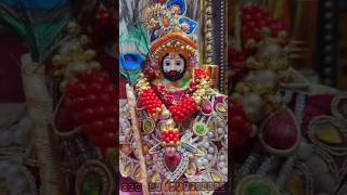 श्याम सवेरे देखु तुझको 🤩❤ krishna krishnaconsciousness love laddugopal ytshorts trend shorts [upl. by Ainitsirhc]