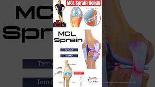 MCL Sprain  animation 3d short  learn Biology with Aliya [upl. by Hagood339]