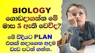 Al Biology 2024 Plan කටපාඩම් නොකර ලේසියෙන්ම ගොඩ දාමු [upl. by Lebam]