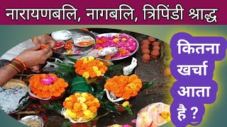 नारायण बलि नागबलि पूजा त्रिपिंडी श्राद्ध का खर्च  Narayan bali Puja  Naag bali Tripindi Shraddh [upl. by Birdie]