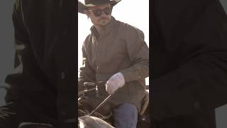 Honoring tradition Cowboys roping and branding cattle branding cattle cowboy ranching [upl. by Baynebridge]