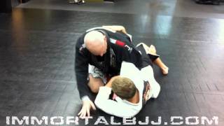 Whizzer Counter Immortal BJJ  Raleigh NC [upl. by Aknaib941]