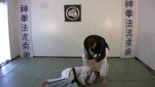 Zen Kempo Ryu Ju Jitsu Demo [upl. by Salchunas391]