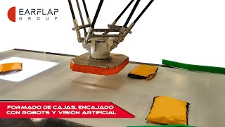 Formado y encajado de cajas con robots  Case former and picking with robots  EARFLAP® [upl. by Sutherlan833]