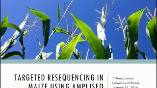 Agrigenomics  Targeted resequencing in maize using Ion AmpliSeq technology [upl. by Bautram120]