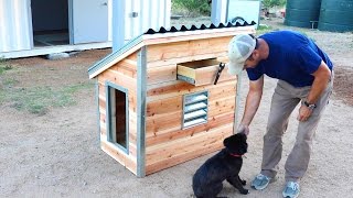 DIY Dog House for our new puppy  Quick and Easy How to [upl. by Hermina]