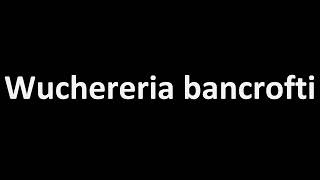 How to Pronounce Wuchereria bancrofti CORRECTLY [upl. by Esirahc491]