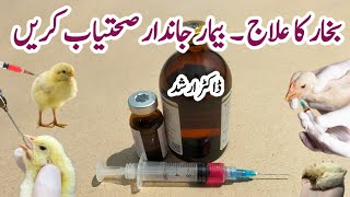 Fever Treatment for Chickens  Tips on how to inject Poultry Birds  Neflox inj  Dr ARSHAD [upl. by Oivatco]