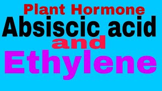 Plant HormoneAbscisic Acid And Ethylene TGTPGTNEETMScBScClass 12thClass 10thCBSE Board [upl. by Salvadore]