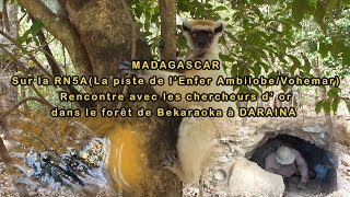 MADAGASCAR  AmbilobeDaraina 23  Pays des chercheurs d OR [upl. by Benzel799]