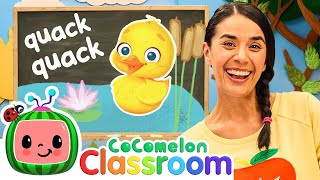 \5 Little Ducks  Toddler Learning with Ms Appleberry  CoComelon  five little duck  super simple [upl. by Ayotnom]