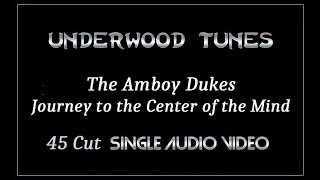 The Amboy Dukes  Journey to the Center of the Mind  1968  Single Audio Video [upl. by Nitsoj77]