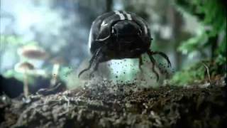 Volkswagen  Black Beetle  Super Bowl Ad [upl. by Leina]