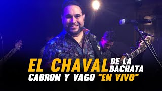 CABRON Y VAGO quotCOVERquot  EN VIVO  EL CHAVAL DE LA BACHATA  PARA MUSICOLOGO [upl. by Ylesara399]