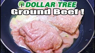 Uh OhDollar Tree Sells GROUND BEEF  WHAT ARE WE EATING  The Wolfe Pit [upl. by Gabriella]