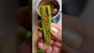 Bharwa bhindi  Stuffed bhindi recipe  Ladies finger fry  Stuffed okra fry  Masala bhindi [upl. by Jael]