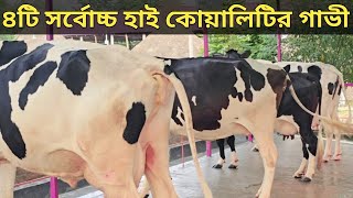 ৩০ ২৭ ২০ ১৭ দুধেরপুনরায় ৪ বার গাভী সংগ্রহ করলেন কুমিল্লা থেকেশুনুন ক্ষুদ্র খামারীদের কথা [upl. by Mendy]