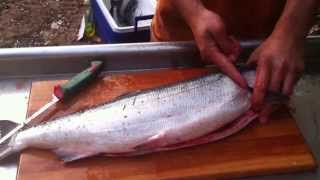 How to break down or process a salmon Gut gill fillet skin debone [upl. by Claudius117]