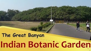 quotIndian Botanical Gardenquot The Great Banyan  Howrah  West Bengal Tourism [upl. by Kowal]