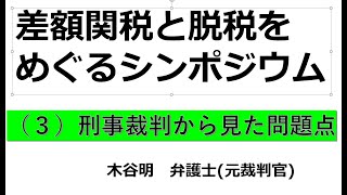 差額関税の問題点その３ 刑事裁判からみた問題点 [upl. by Bourque936]