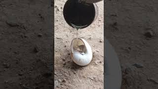 Restoration Casting Melting Aluminum into Snails shorts viralvideo restoration [upl. by Winter]