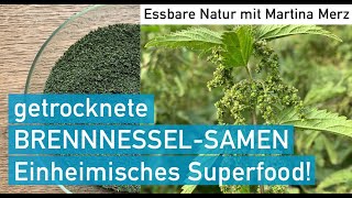 Getrocknete BrennnesselSamen – einheimisches aphrodisaisches Superfood [upl. by Cori]