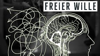 Freier Wille amp Determinismus – Warum ich das Problem nicht verstehe [upl. by Lubbi]