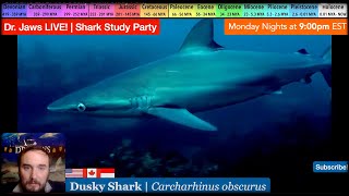 Dr Jaws LIVE 86 Dusky Shark Study Party [upl. by Adnilema]