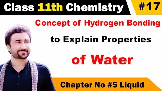 Concept of hydrogen bonding to explain properties of water class 11 [upl. by Aiotal121]