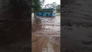 Cruce alberdi bajo la lluvia [upl. by Porte]