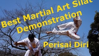 Best Martial Arts Silat Demonstration Perisai Diri jurus IPSI [upl. by Katzen]