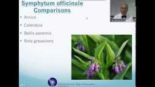 Symphytum officinale Homeopathic Medicine Tips For Beginners [upl. by Tollman]