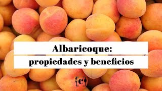 Albaricoque todas las propiedades que debes saber [upl. by Aerdied]