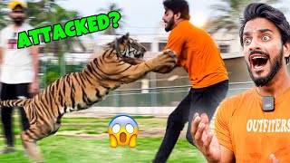 Tiger Cage se Bahar Agaya🐅😱 MISHKAT KHAN  ADVENTURE  THE FUN FIN [upl. by Vial]