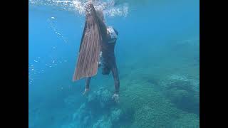 Rangiroa  Snorkeling et baptême de plongée [upl. by Nnairet]