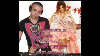 DJ TELEVOLE vs Ceylan  Buda Gecer REMIX [upl. by Denoting]