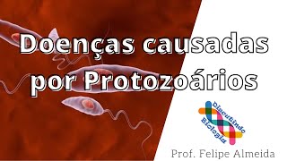 Doenças causadas por protozoários Protozooses [upl. by Enailil418]