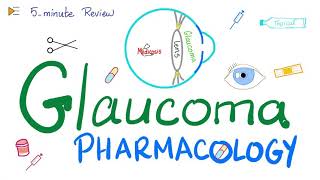 Glaucoma Pharmacology  5Minute Review [upl. by Ybrik]