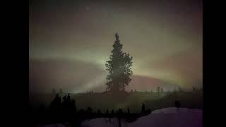 Fairbanks AK Northern Lights Feb 2024 [upl. by Aekal]