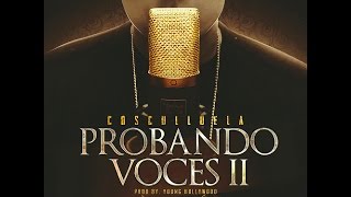 Probando Voces 2  Cosculluela Freestyle [upl. by Alten131]