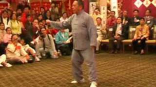 Chen Style Xinyi Hunyuan Taiji 名家欣賞：陳式心意混元太極拳33 [upl. by Attesoj589]