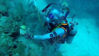 NEEMO 22 Mission Highlights [upl. by Blynn]