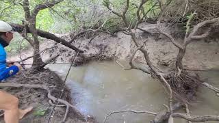 Barramundi fishing in croc infested Darwin creeks [upl. by Tugman]