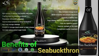 Sea Buckthorn Benefits [upl. by Reamy]