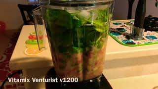 Vitamix Venturist  Smoothie 2 [upl. by Bainbrudge]