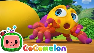 Itsy Bitsy Spider  CoComelon Nursery Rhymes amp Animal Songs [upl. by Kciredohr159]