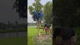 Best Funny Short Videos 🤣 funny memes shorts [upl. by Naegem]