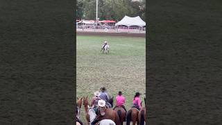 Pendleton Round Up barrel pattern is insane pendletonroundup barrelracing roydinges [upl. by Bronwen]