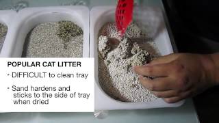 Compare the strength of clumping litter for cats  Canada Cat Litter [upl. by Iiette504]