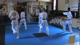 Boise Tang Soo Do Black Belt Test PyongAhn ChoDan Hyung [upl. by Cristiano]